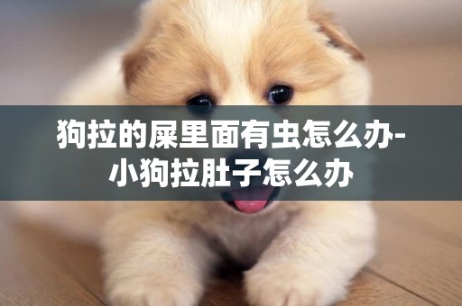 狗拉的屎里面有蟲怎么辦-小狗拉肚子怎么辦