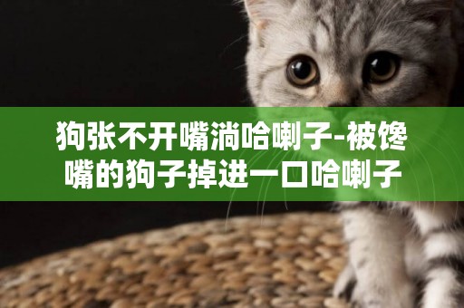 狗張不開嘴淌哈喇子-被饞嘴的狗子掉進一口哈喇子