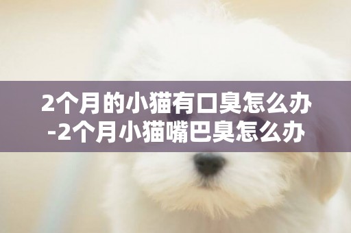 2個月的小貓有口臭怎么辦-2個月小貓嘴巴臭怎么辦