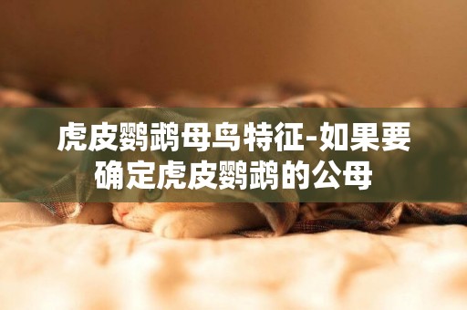虎皮鸚鵡母鳥特征-如果要確定虎皮鸚鵡的公母