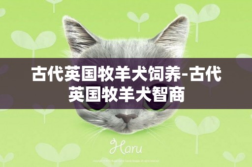 古代英國牧羊犬飼養-古代英國牧羊犬智商