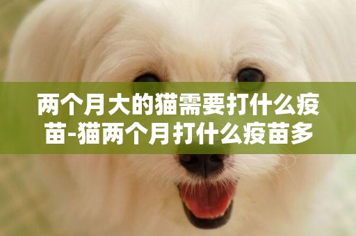 兩個月大的貓需要打什么疫苗-貓兩個月打什么疫苗多少錢
