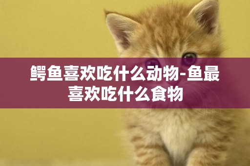 鱷魚喜歡吃什么動物-魚最喜歡吃什么食物