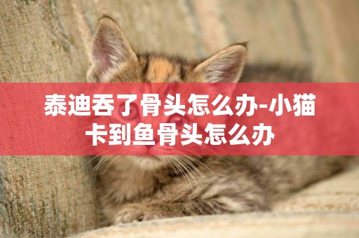 泰迪吞了骨頭怎么辦-小貓卡到魚骨頭怎么辦