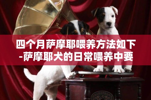 四個月薩摩耶喂養方法如下-薩摩耶犬的日常喂養中要注意的四點