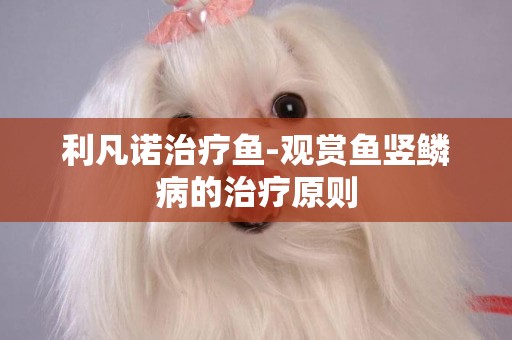 利凡諾治療魚-觀賞魚豎鱗病的治療原則
