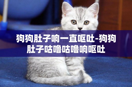 狗狗肚子響一直嘔吐-狗狗肚子咕嚕咕嚕響嘔吐