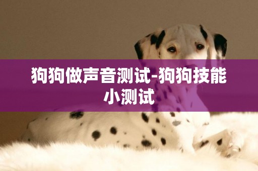 狗狗做聲音測試-狗狗技能小測試