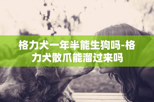 格力犬一年半能生狗嗎-格力犬散爪能溜過來嗎