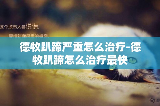 德牧趴蹄嚴重怎么治療-德牧趴蹄怎么治療最快