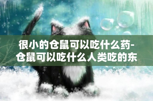 很小的倉鼠可以吃什么藥-倉鼠可以吃什么人類吃的東西
