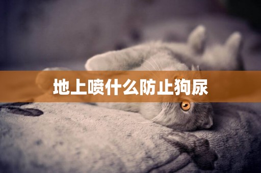地上噴什么防止狗尿