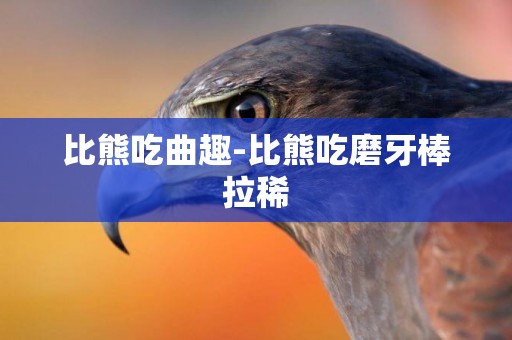 比熊吃曲趣-比熊吃磨牙棒拉稀