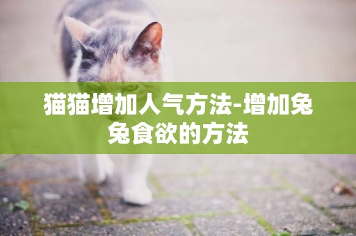 貓貓增加人氣方法-增加兔兔食欲的方法