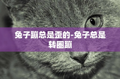兔子蹦總是歪的-兔子總是轉圈蹦