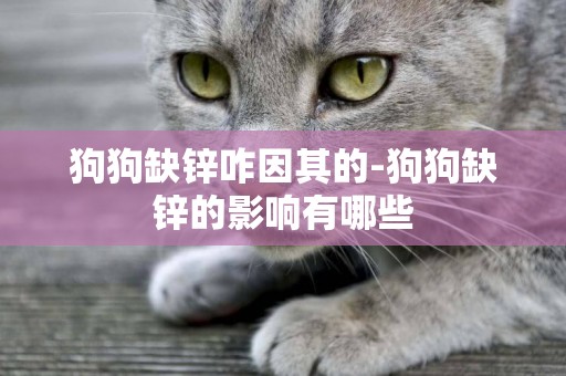 狗狗缺鋅咋因其的-狗狗缺鋅的影響有哪些