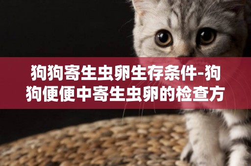 狗狗寄生蟲卵生存條件-狗狗便便中寄生蟲卵的檢查方法