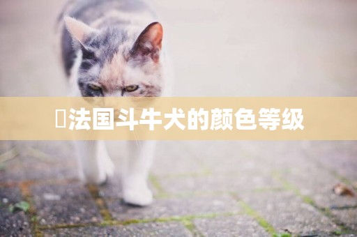 ?法國斗牛犬的顏色等級
