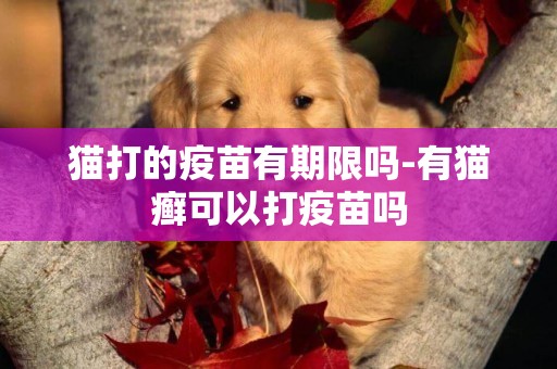 貓打的疫苗有期限嗎-有貓癬可以打疫苗嗎