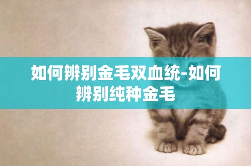 如何辨別金毛雙血統-如何辨別純種金毛