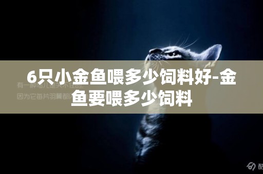 6只小金魚喂多少飼料好-金魚要喂多少飼料