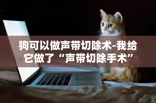 狗可以做聲帶切除術-我給它做了“聲帶切除手術”