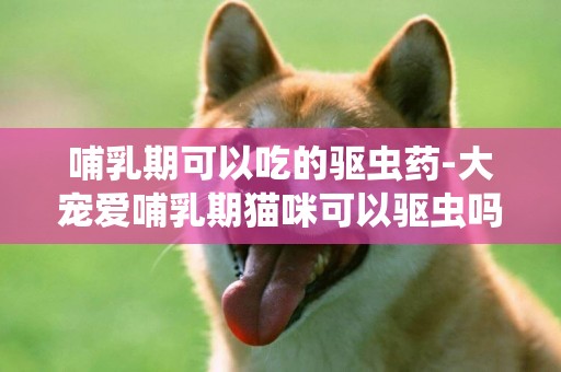 哺乳期可以吃的驅蟲藥-大寵愛哺乳期貓咪可以驅蟲嗎