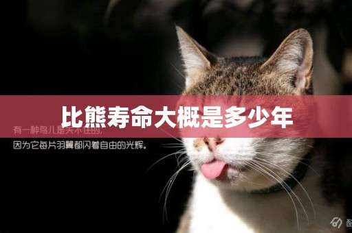 比熊壽命大概是多少年