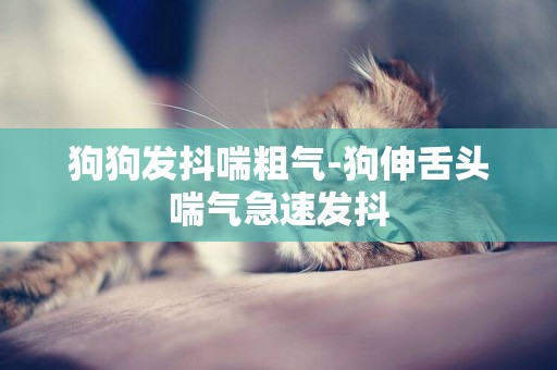 狗狗發抖喘粗氣-狗伸舌頭喘氣急速發抖