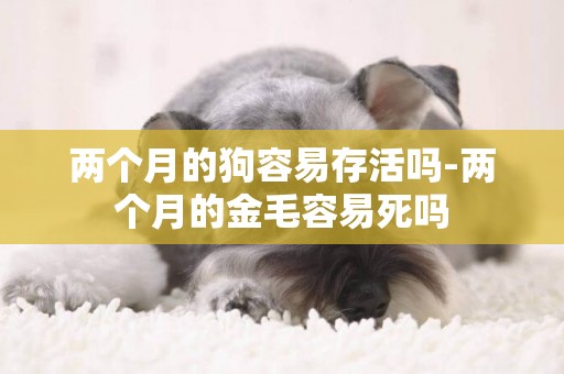兩個月的狗容易存活嗎-兩個月的金毛容易死嗎