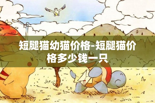 短腿貓幼貓價格-短腿貓價格多少錢一只