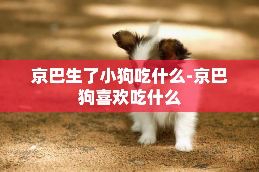 京巴生了小狗吃什么-京巴狗喜歡吃什么