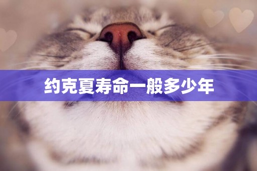 約克夏壽命一般多少年