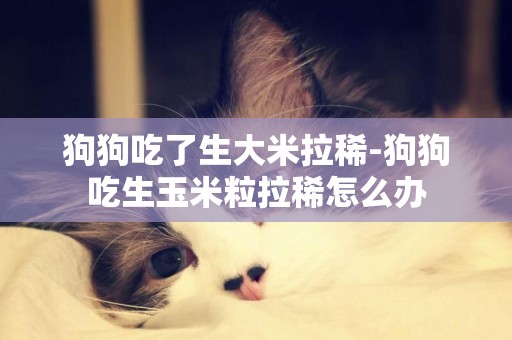 狗狗吃了生大米拉稀-狗狗吃生玉米粒拉稀怎么辦