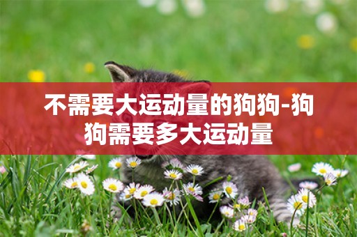 不需要大運動量的狗狗-狗狗需要多大運動量