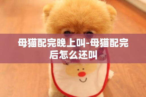 母貓配完晚上叫-母貓配完后怎么還叫
