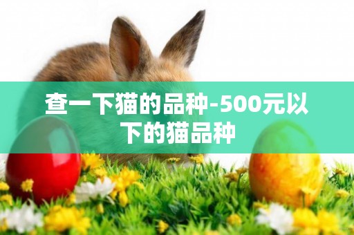 查一下貓的品種-500元以下的貓品種