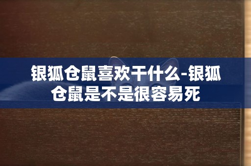 銀狐倉鼠喜歡干什么-銀狐倉鼠是不是很容易死
