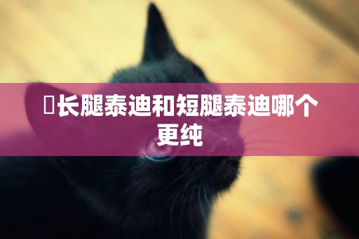 ?長腿泰迪和短腿泰迪哪個更純