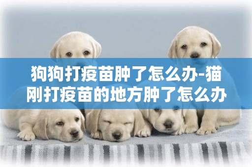 狗狗打疫苗腫了怎么辦-貓剛打疫苗的地方腫了怎么辦