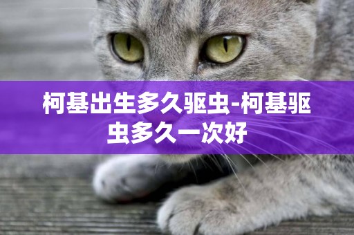 柯基出生多久驅蟲-柯基驅蟲多久一次好