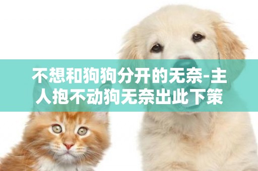 不想和狗狗分開的無奈-主人抱不動狗無奈出此下策