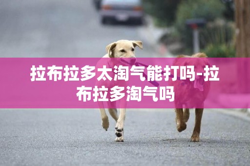 拉布拉多太淘氣能打嗎-拉布拉多淘氣嗎