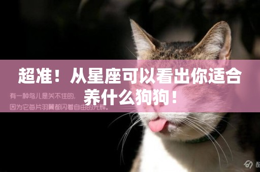 超準！從星座可以看出你適合養什么狗狗！
