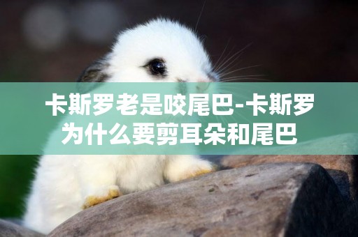 卡斯羅老是咬尾巴-卡斯羅為什么要剪耳朵和尾巴