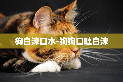 狗白沫口水-狗狗口吐白沫