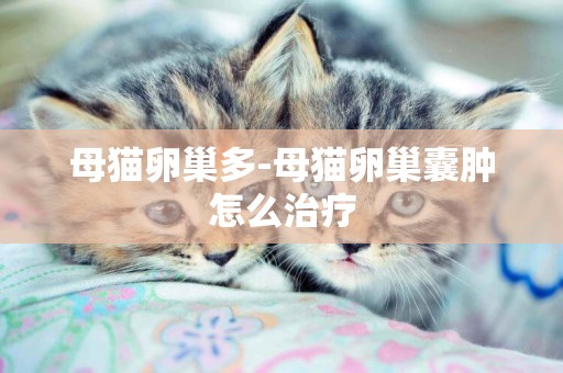 母貓卵巢多-母貓卵巢囊腫怎么治療