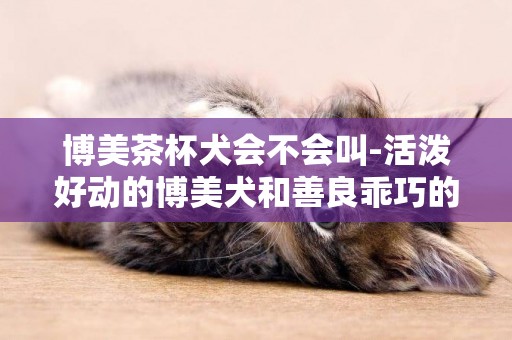 博美茶杯犬會不會叫-活潑好動的博美犬和善良乖巧的茶杯犬
