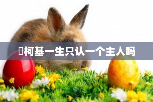 ?柯基一生只認一個主人嗎