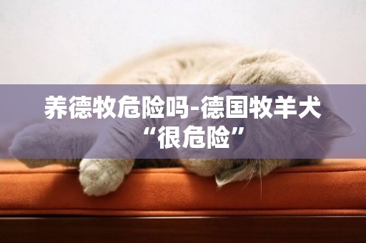 養德牧危險嗎-德國牧羊犬“很危險”